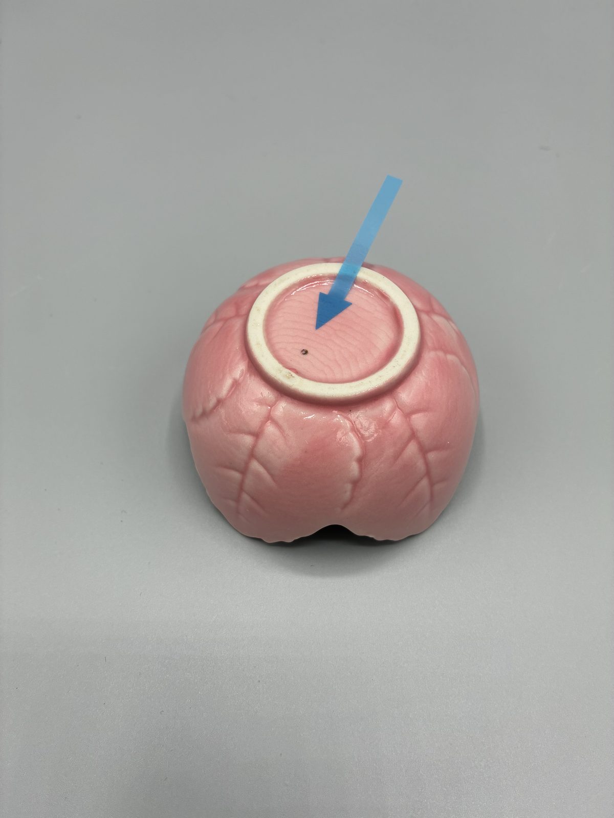 小鉢　さくら型　ピンク（6枚目）